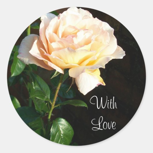 "Dreaming Spires" Roos Stickers (Voorkant)