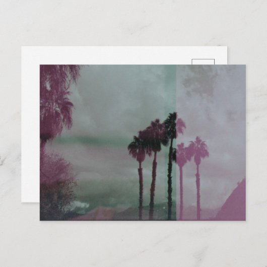 Dreaming Technicolor Palm Trees Briefkaart (Voorkant / Achterkant)