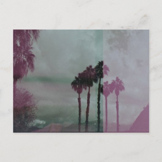 Dreaming Technicolor Palm Trees Briefkaart (Voorkant)