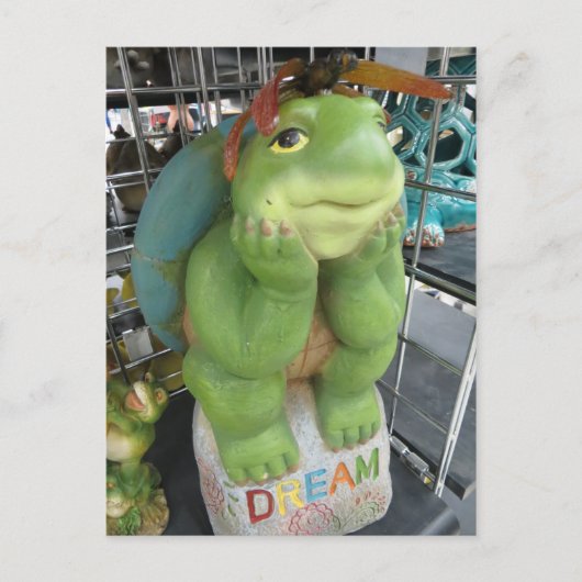 Dreaming Turtle Briefkaart (Voorkant)