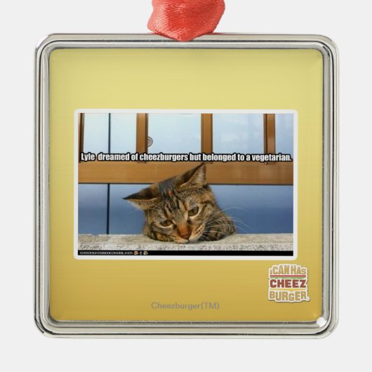 Dreaming van de burgers metalen ornament (Voorkant)