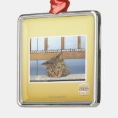 Dreaming van de burgers metalen ornament (Links)