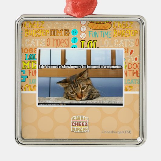 Dreaming van de burgers metalen ornament (Voorkant)