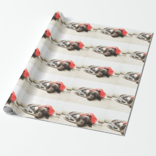 Dreaming van de Santa - Duitse Shorthair Puppy Cadeaupapier