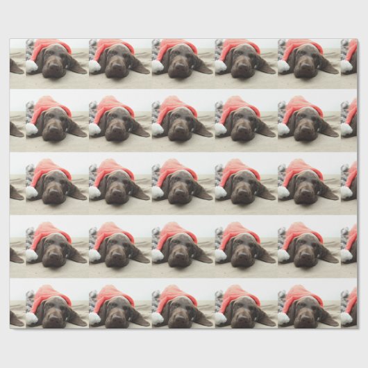 Dreaming van de Santa - Duitse Shorthair Puppy Cadeaupapier (Vlak)