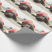Dreaming van de Santa - Duitse Shorthair Puppy Cadeaupapier (Hoek)