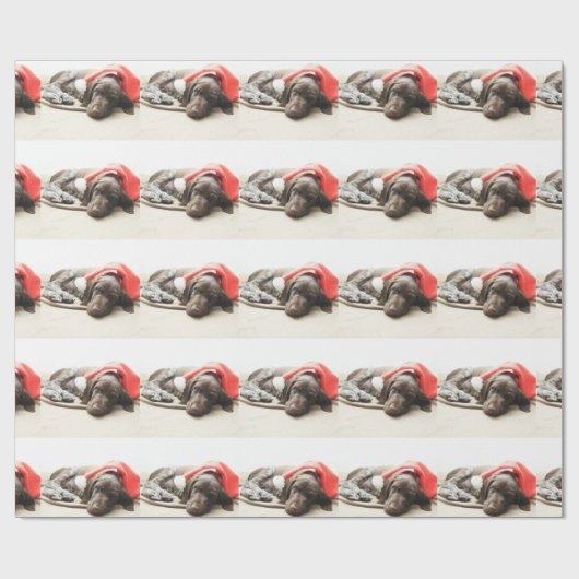 Dreaming van de Santa - Duitse Shorthair Puppy Cadeaupapier (Vlak)