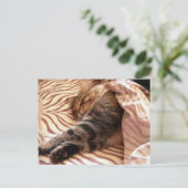 Dreaming van de veldt briefkaart (Staand voorkant)