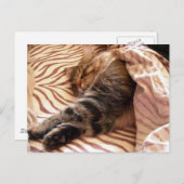 Dreaming van de veldt briefkaart (Voorkant / Achterkant)