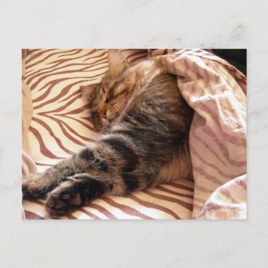 Dreaming van de veldt briefkaart (Voorkant)