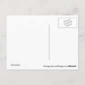 Dreaming van een roze ster briefkaart (Achterkant)