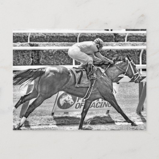 Dreaming van Julia- 2-jarige filly Champion Briefkaart (Voorkant)