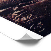 Dreaming van kattenleeuw, grappige kat-cadeau poster (Hoek)