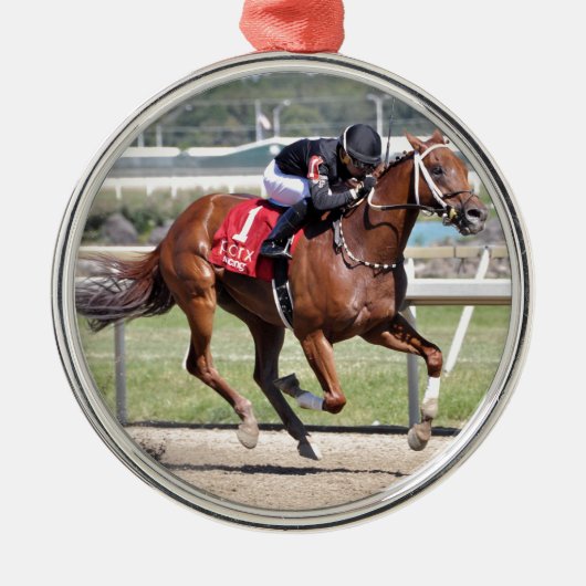 Dreaming van Neno Metalen Ornament (Voorkant)