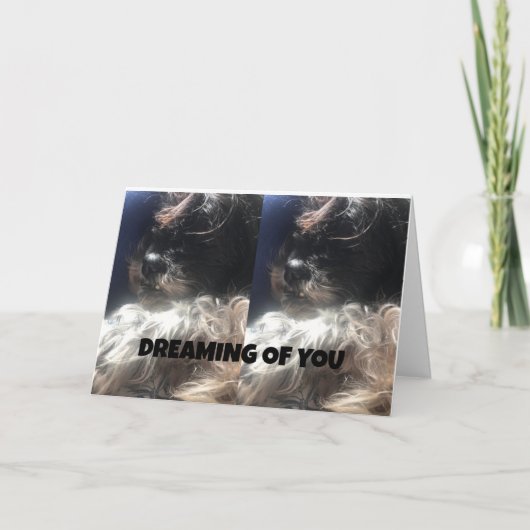 DREAMING VAN U / WISHING U HEBT EEN MERRY CHRISTMA FEESTDAGEN KAART (Voorkant)