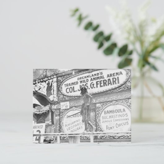  DreamLand's Wild Animal Briefkaart (Staand voorkant)