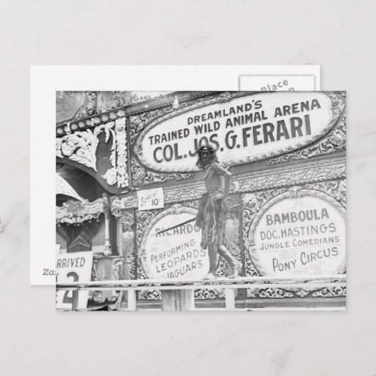 DreamLand's Wild Animal Briefkaart (Voorkant / Achterkant)