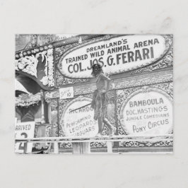 DreamLand's Wild Animal Briefkaart