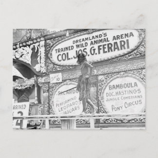 DreamLand's Wild Animal Briefkaart