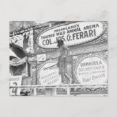 DreamLand's Wild Animal Briefkaart (Voorkant)