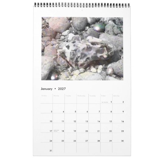 DreamLandscapes Agenda 2011 Kalender (Jan 2027)