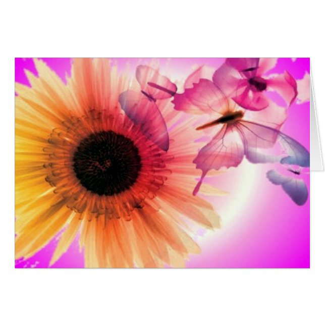 Dreams (Voorkant Horizontaal)