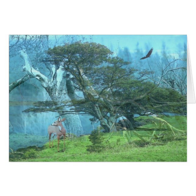 Dreams (Voorkant Horizontaal)