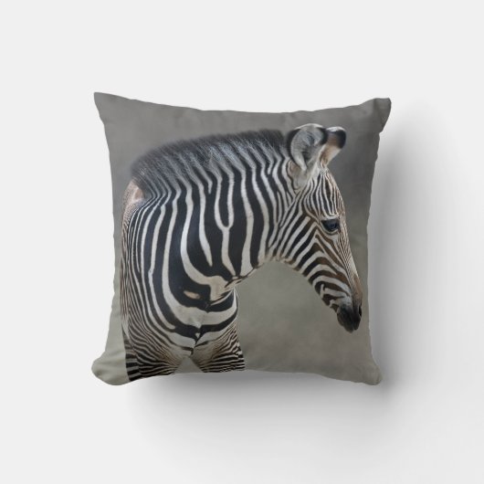 Dreams in Black en White Pillow Kussen (Voorkant)