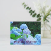 Dreams komen uit True! briefkaarten Blue Hydrangea (Staand voorkant)