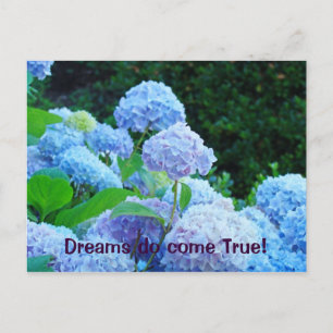 Dreams komen uit True! briefkaarten Blue Hydrangea