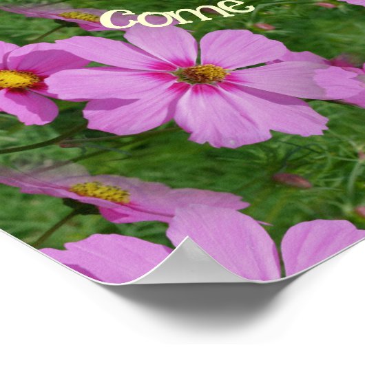 Dreams komen uit True Cosmos Flowers Inspirerend Poster (Hoek)