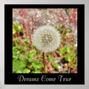 Dreams komen uit waar Inspirerend Poster