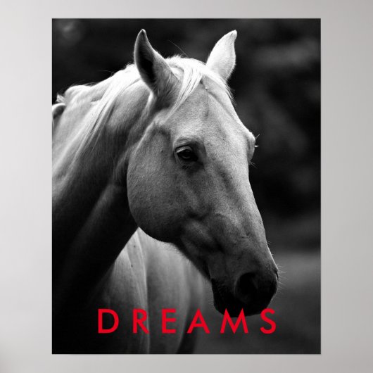 Dreams Motivatie Black White Closeup Horse Poster (Voorkant)