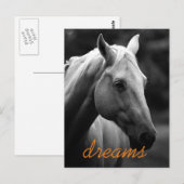 Dreams Motivatie Black & White Horse Head Briefkaart (Voorkant / Achterkant)