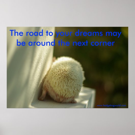 Dreams poster (Voorkant)