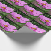 Dreams Quote Cosmos Flower Inspirerend Cadeaupapier (Hoek)