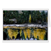 Dreams van een jonge Tamarack