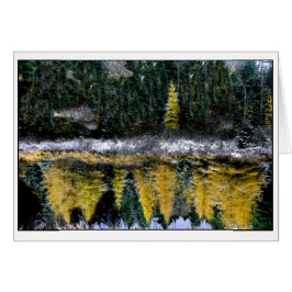 Dreams van een jonge Tamarack