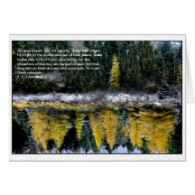 Dreams van een jonge Tamarack