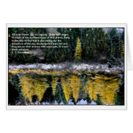 Dreams van een jonge Tamarack