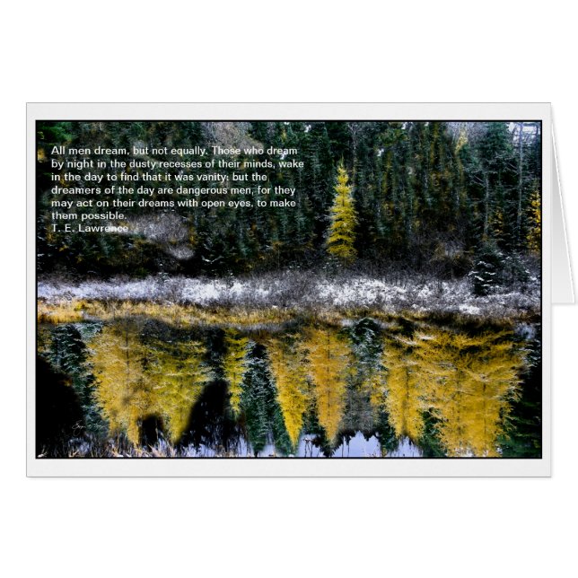 Dreams van een jonge Tamarack (Voorkant Horizontaal)