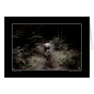 Dreams van het spoor