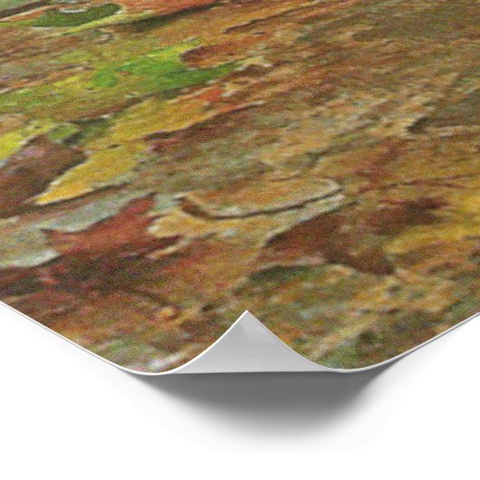 Dreams van Vittorio Matteo Corcos 1896 Poster (Hoek)