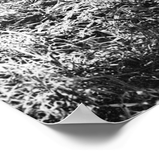 DREAMS-vrouw, pagan, spiritueel, dans, wil Poster (Hoek)