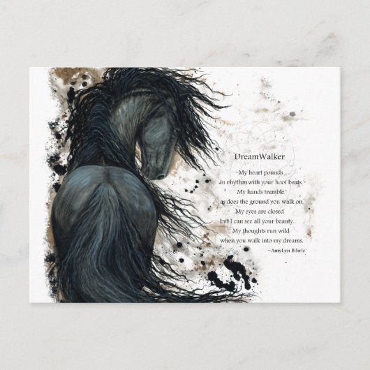 DreamWalker Horse Briefkaart door Bihrle (Voorkant)