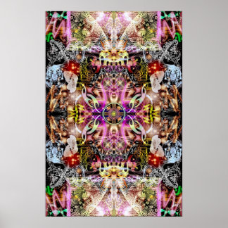 Dreamweaver 2 poster