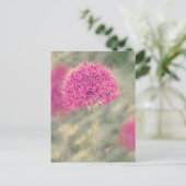 Dreamweaver Alliums Briefkaart (Staand voorkant)