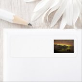 Dreamweaver Aurora Etiket (Insitu)