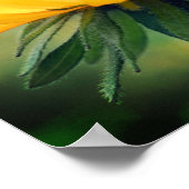 Dreamweaver Black Eyed Susan Daisy Flower Poster (Hoek)