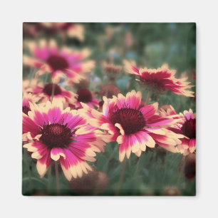 Dreamweaver Blanket Flowers Magneet